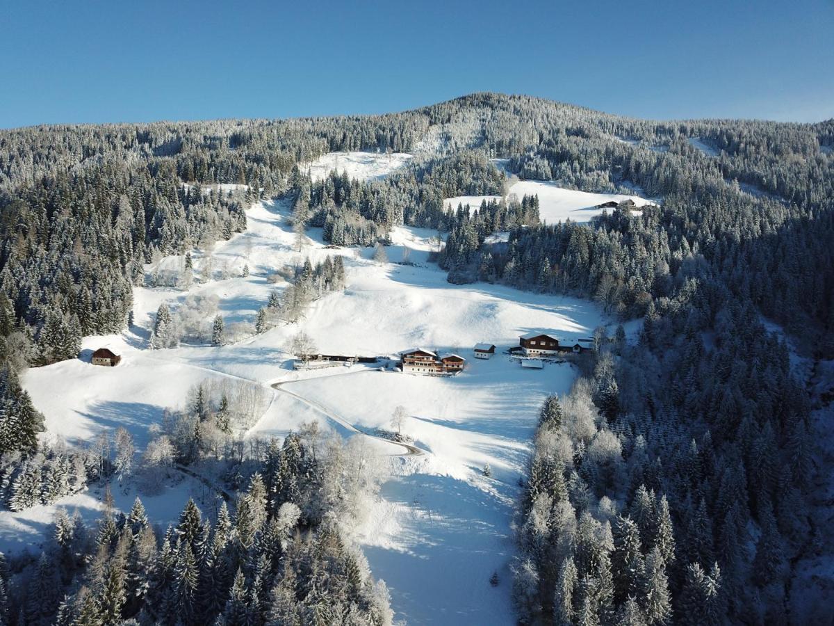 Pension Bergbauernhof Irxner Pichl-Preunegg Esterno foto
