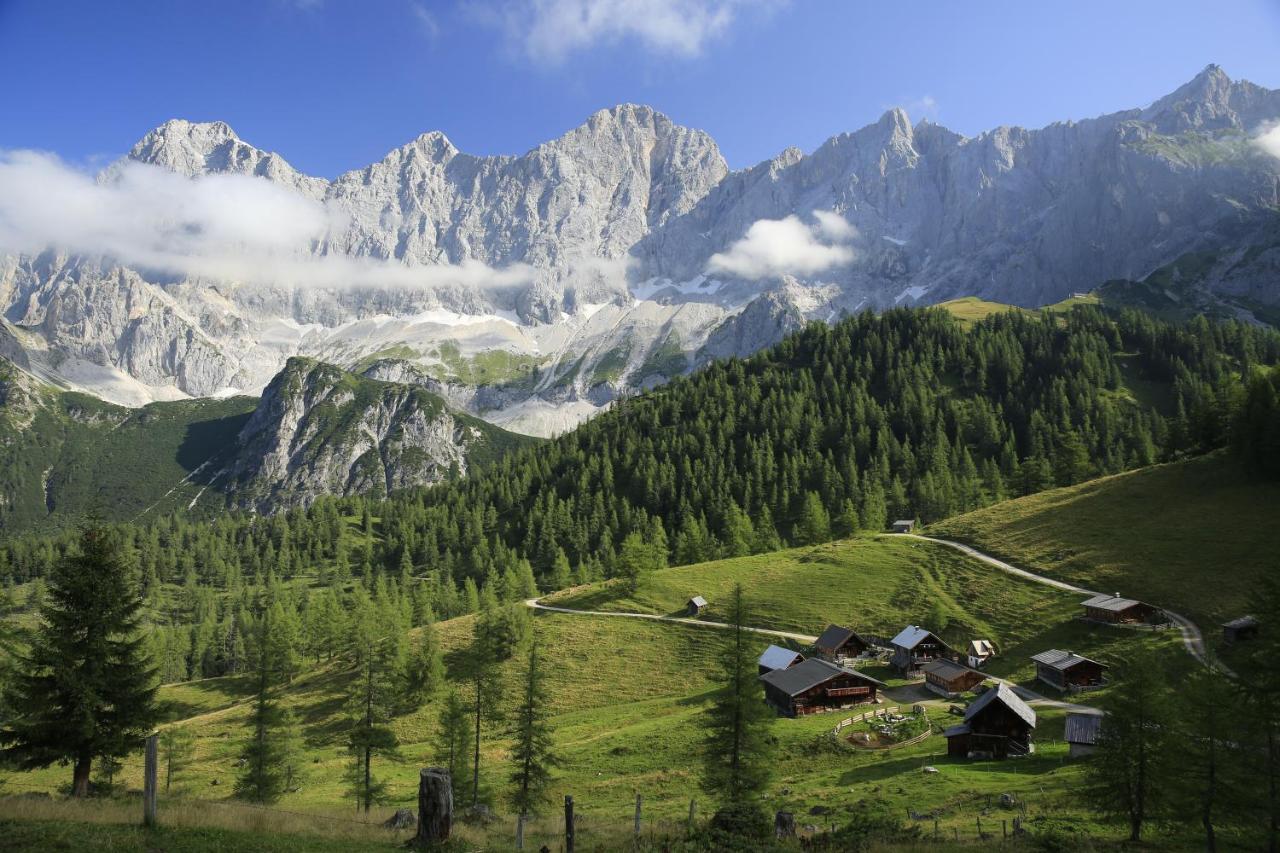 Pension Bergbauernhof Irxner Pichl-Preunegg Esterno foto